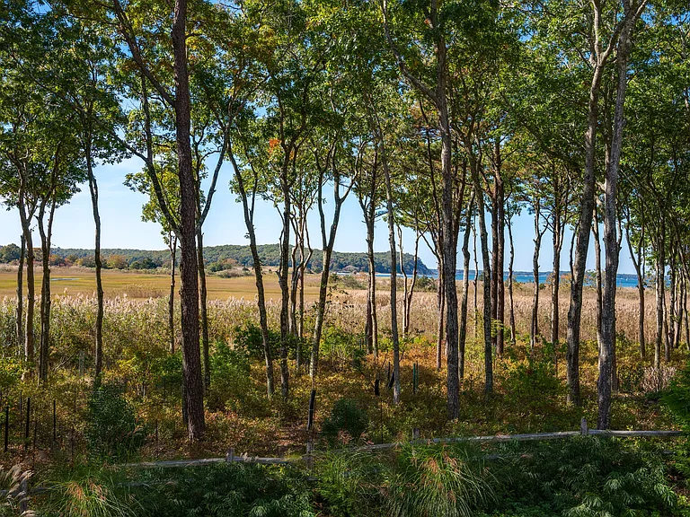 37 Mile Hill Rd — Photo 26