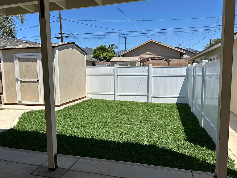 Backyard lawn
