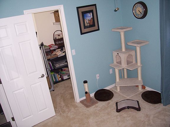 back bedroom huge closet