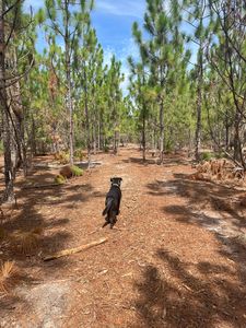 Ppf 8 Payne Pond Rd #Ppf-8, Kershaw, SC, 29067
