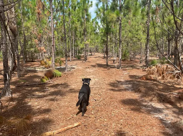 Ppf 8 Payne Pond Rd #Ppf-8, Kershaw, SC 29067