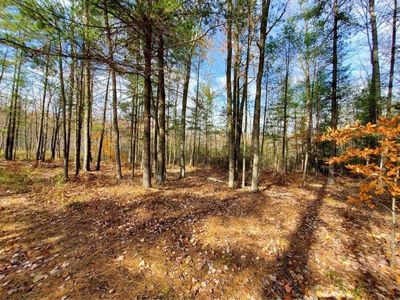 Early Ln, Abrams, WI, 54101