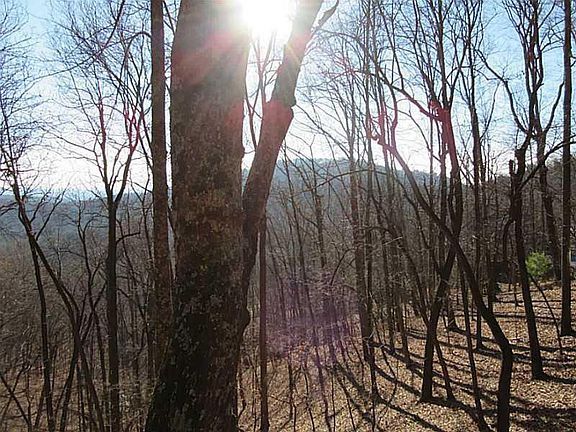 4th image of 1264 Grouse Gap Dr