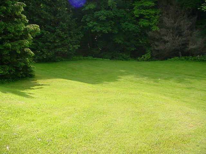 2nd image of 55 POWDER MILL Road