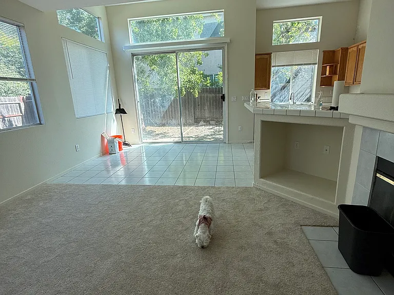 282 Oak Briar Ct — Photo 24