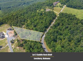 LOT 3 County Road 674, Leesburg, AL 35983
