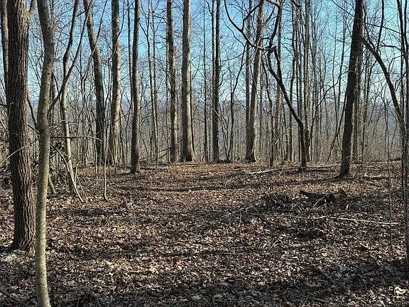 2nd image of 0 Jackson Ridge Rd