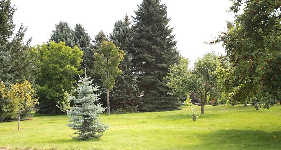 2nd image of 4526 Drafthorse Dr