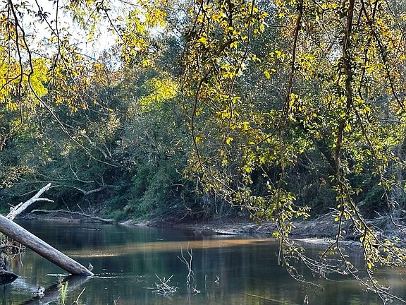 2nd image of 0 Forest Service Rd #307A