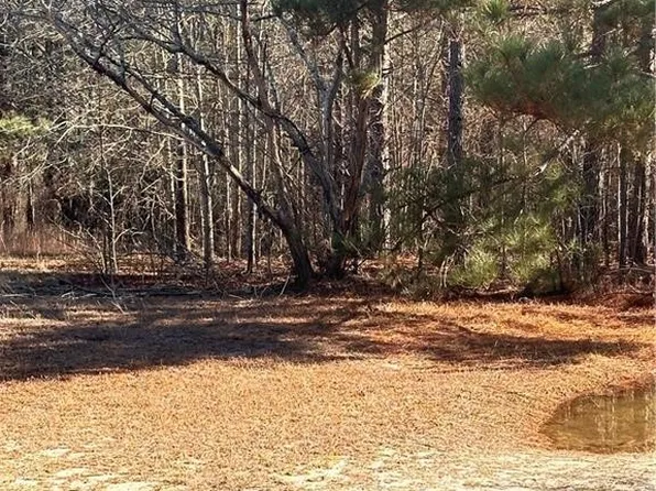 Love Grove Church Rd, Sanford, NC 27332