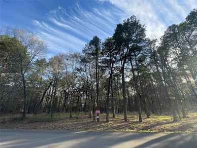 14664 Jade Forest Trl, Tyler, TX, 75707