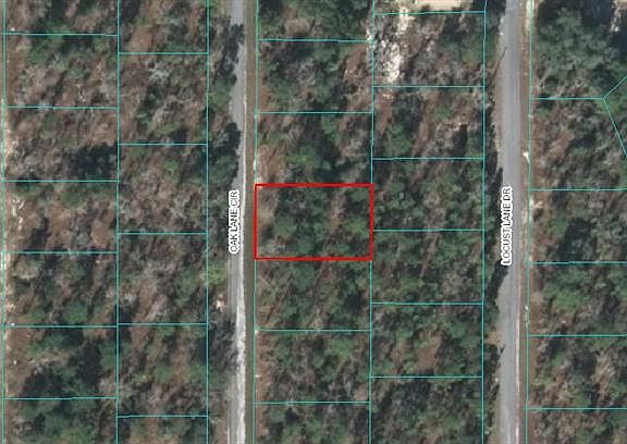 4th image of LOT 8 Package Olive Cir