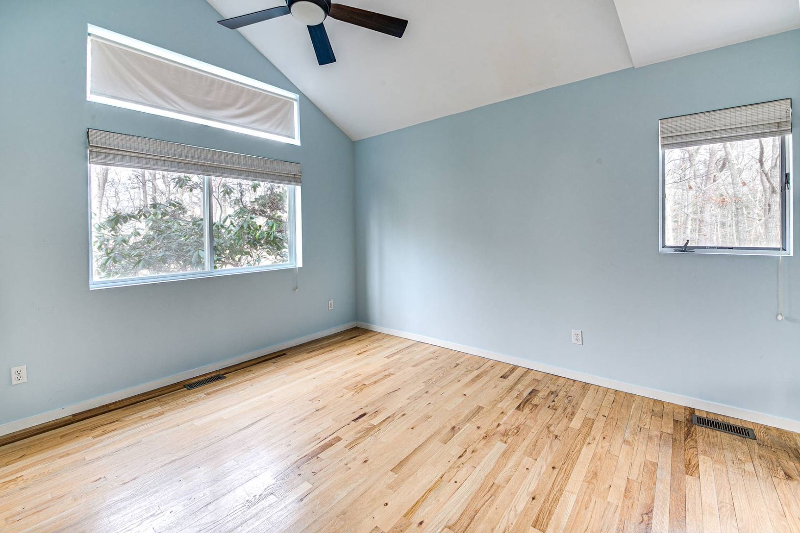  Temporary Photos