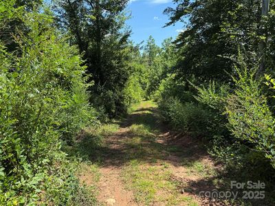 0 Collins Rd #5, Bostic, NC, 28018