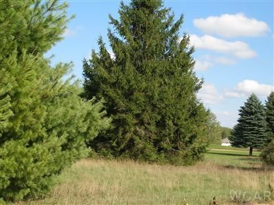 7734 Red Fox Rd #37, Canadian Lakes, MI, 49346