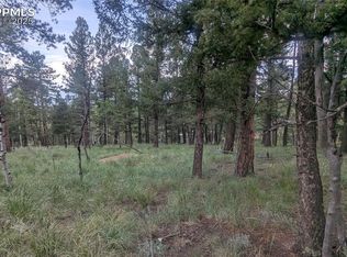 924 Will Scarlet Dr, Divide, CO 80814