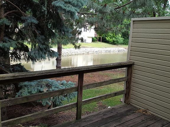 view from back deck
