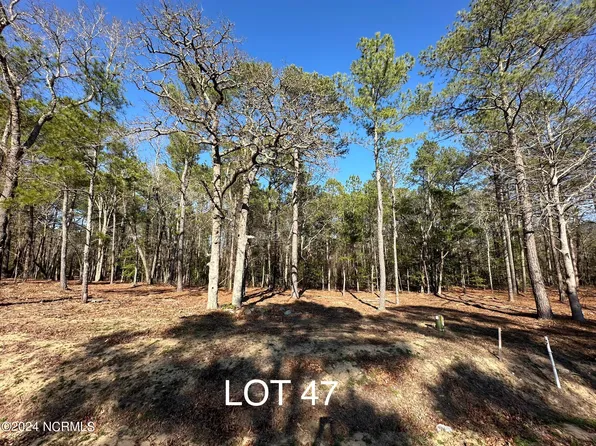 501 Village Drive, Goldsboro, NC 27534