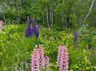 LOT 12 Birch Cliff Dr, Tofte, MN 55615