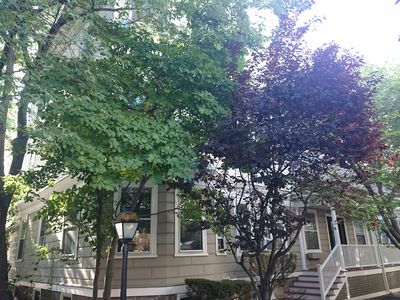 28 Stanton Rd APT 6, Brookline, MA, 02445