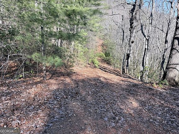 4th image of 0 Rabun Bluffs Dr