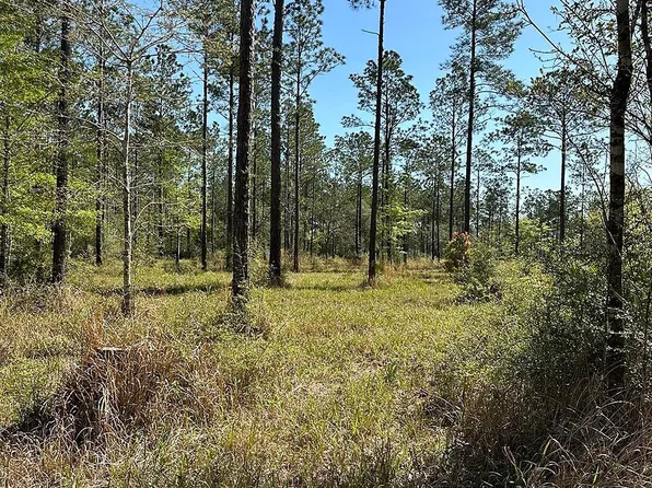 0 Cc Rd #5-C, Elberta, AL 36530
