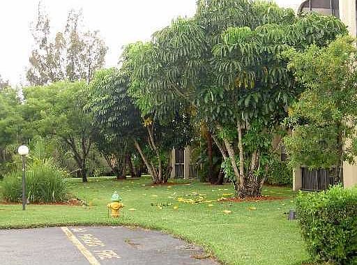 2nd image of 7100 Nova Dr APT 305A