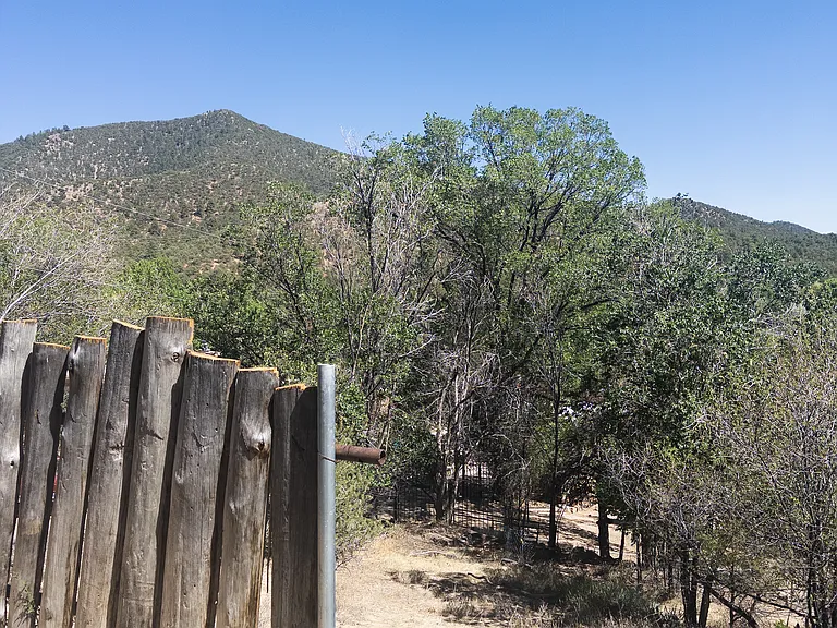 1608 Cerro Gordo Rd — Photo 6