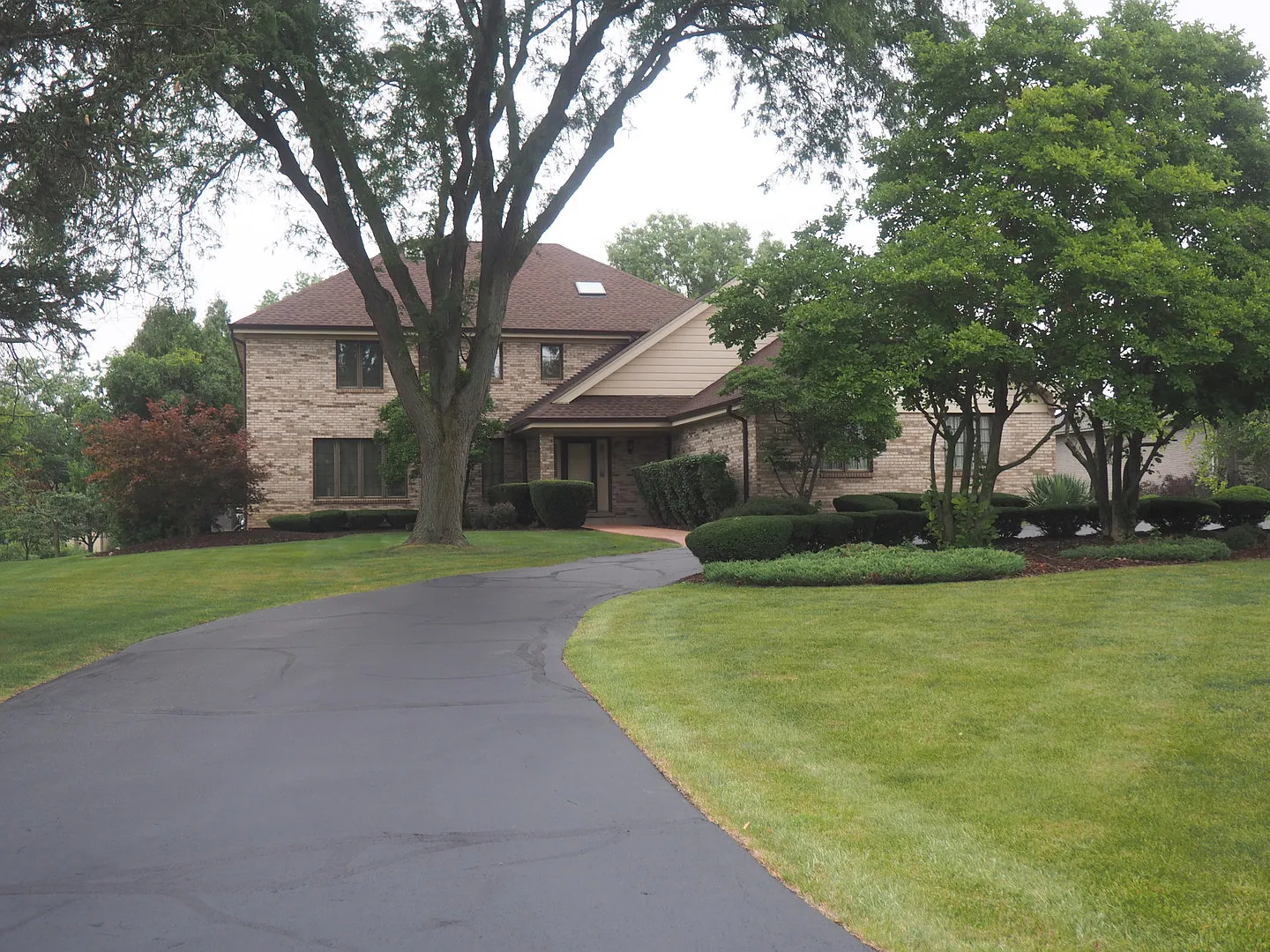 8124 Pluskota Dr photo 1