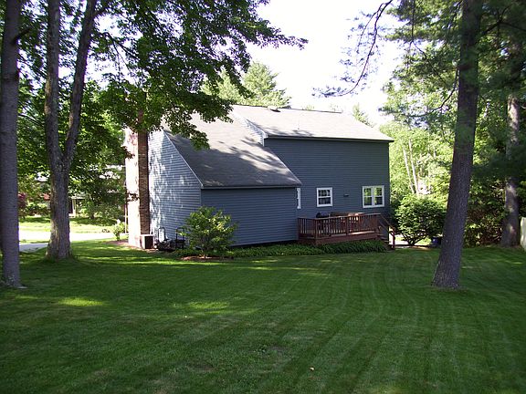 Back Yard during Summer