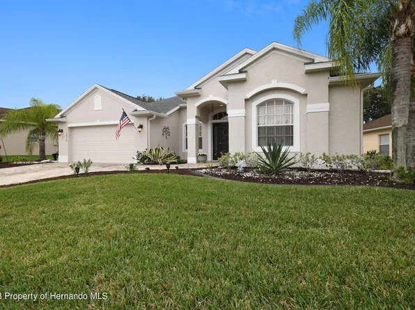 11472 McLeod St, Spring Hill, FL 34609