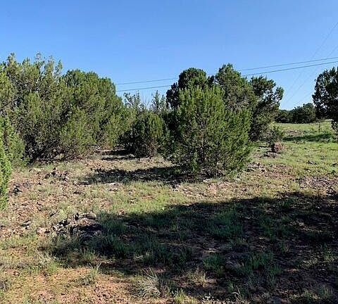 2nd image of 8759 Silver Creek Dr