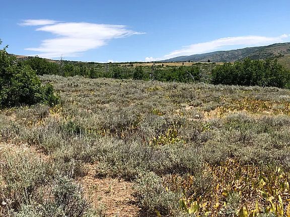 3rd image of 3474 N Live Oak Rd E