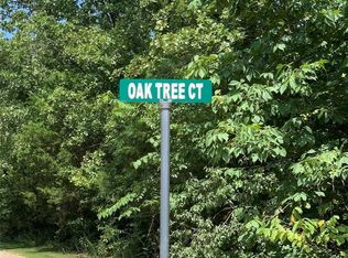 2002 Oak Tree Ct, Bonne Terre, MO 63628