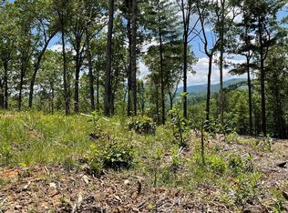 95 The Blf, Morganton, GA 30560