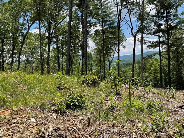 95 The Blf, Morganton, GA 30560