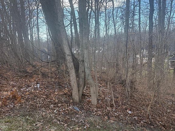 4th image of 6960 Mockernut Ct