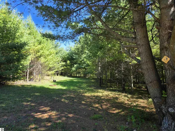 577 Birch Ln, Mikado, MI 48745