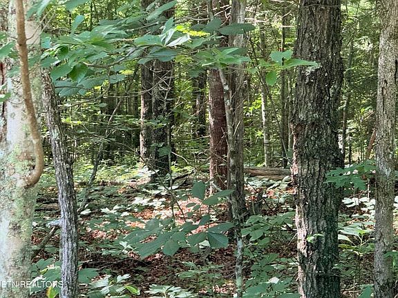 3rd image of 390 Georgee Rd