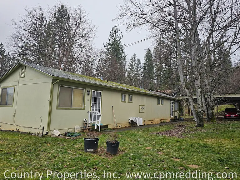 51 Upper Miner Pl — Photo 8