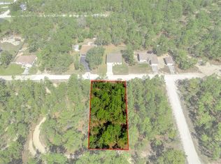12388 Snowy Egret Ave #20, Brooksville, FL 34614