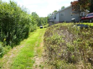 61 Strain Ln, Downsville, NY 13755