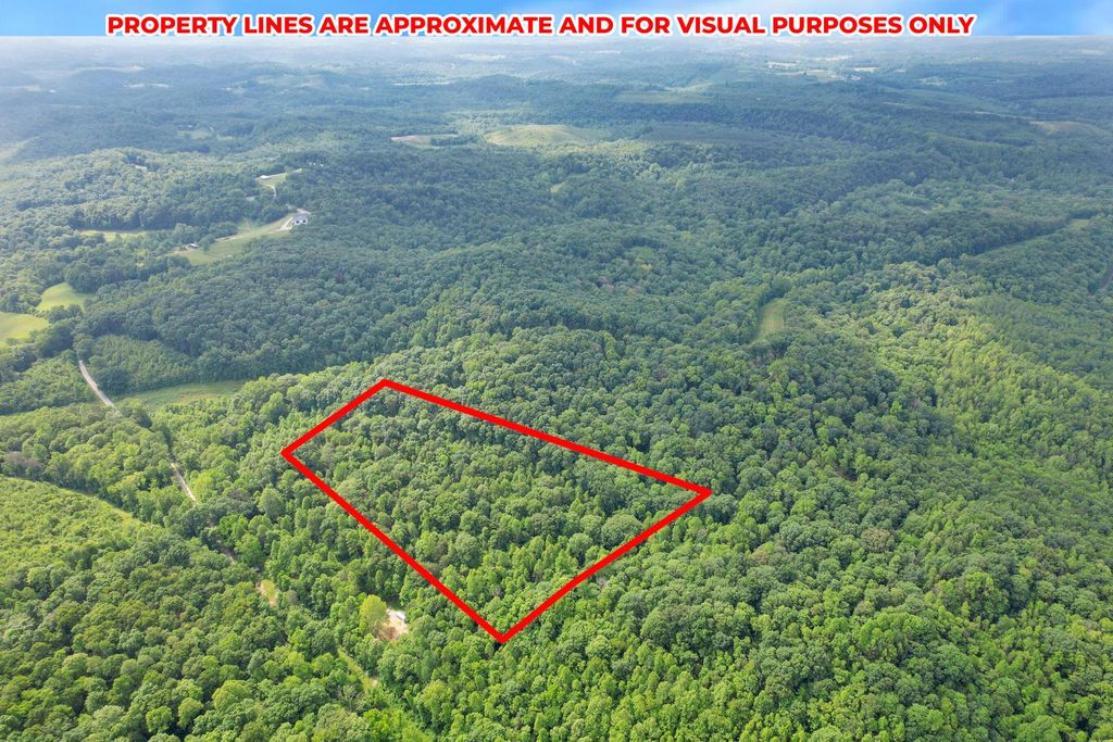 Real estate listing image