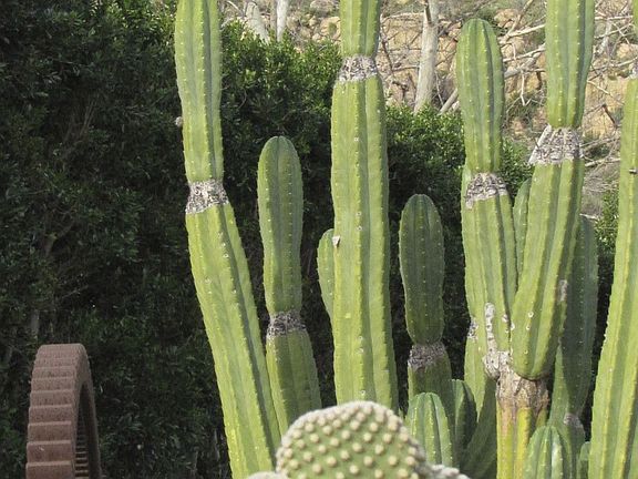 The parcel includes a portion of the rock formation known as Stoney Point