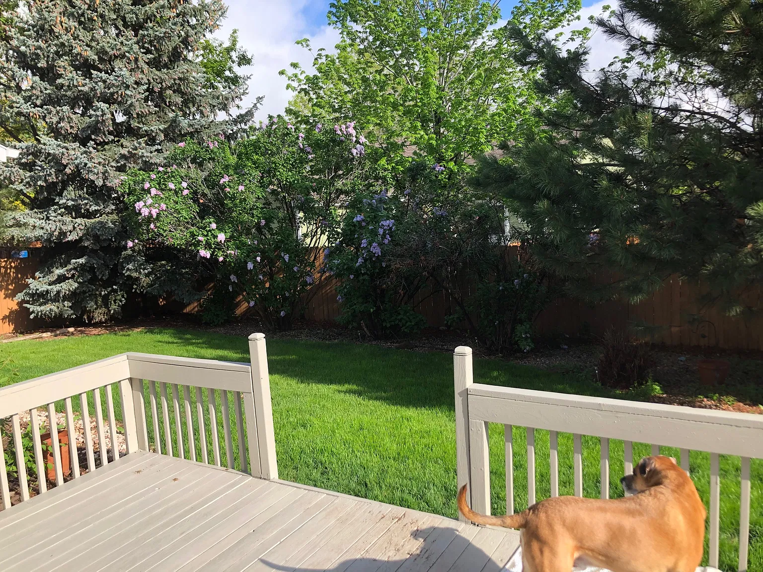 Three Oaks Ct, Fort Collins — Photo 4