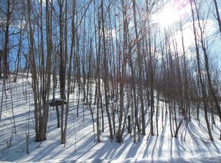 Mumbulo Rd., Edmeston, NY 13335