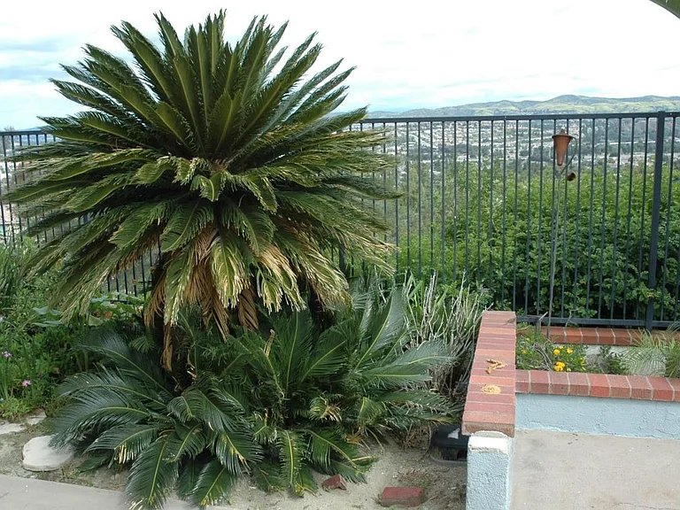6374 E Paseo Celeste — Photo 98