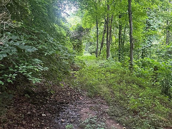 5th image of County Road 484