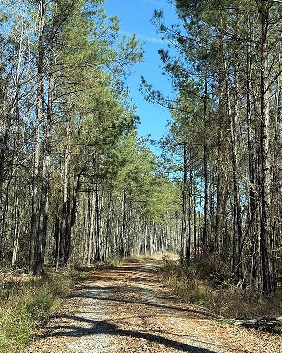 1st image of 92 H Strange Rd Lot 31.04