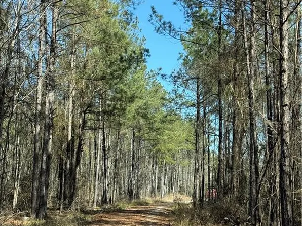 92 H Strange Rd Lot 31.04, Lecompte, LA 71346